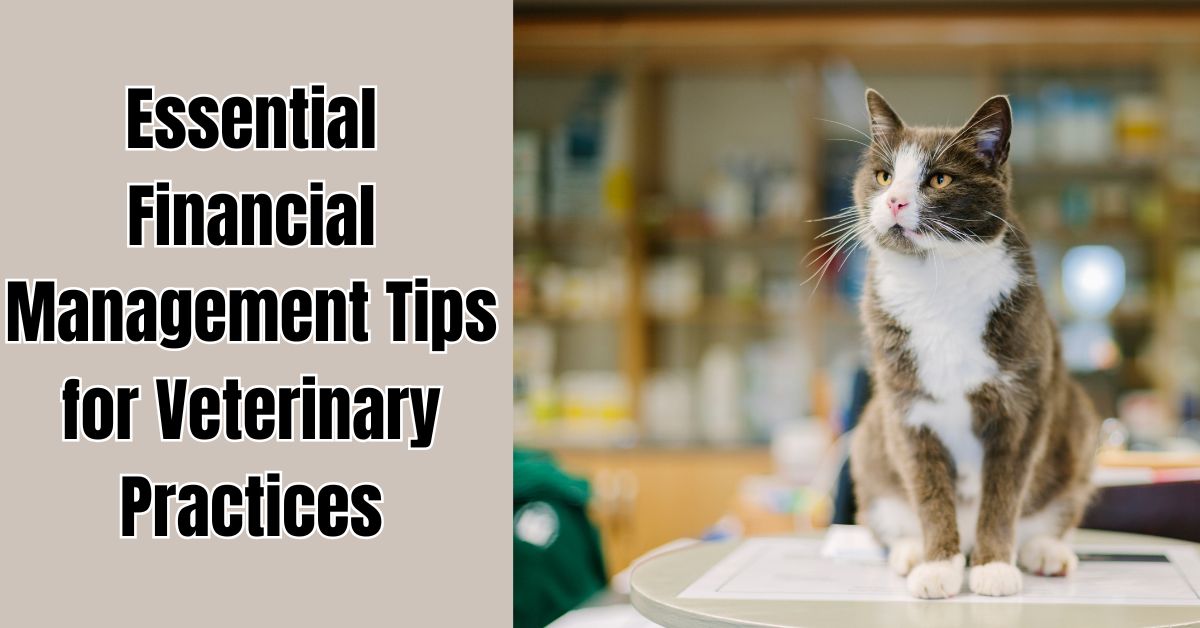 Mastering the Money: Essential Financial Management Tips for Veterinary Practices